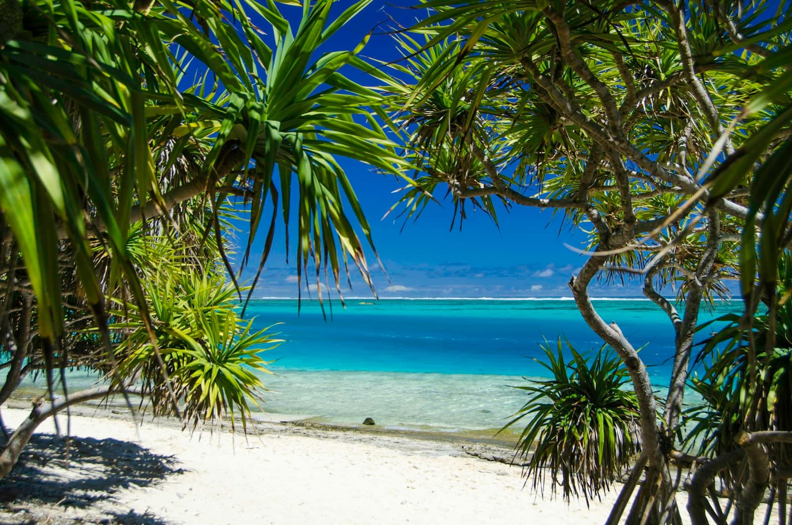 Mystery Island through palms, Vanuatu